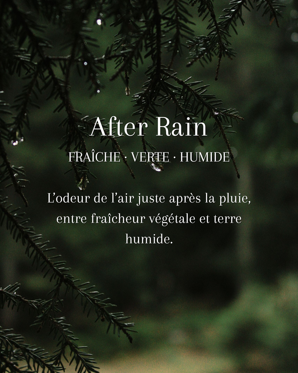 After Rain