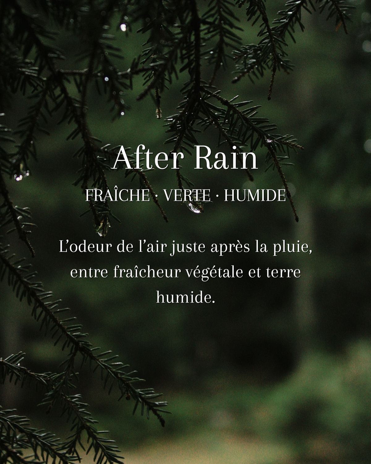 After Rain