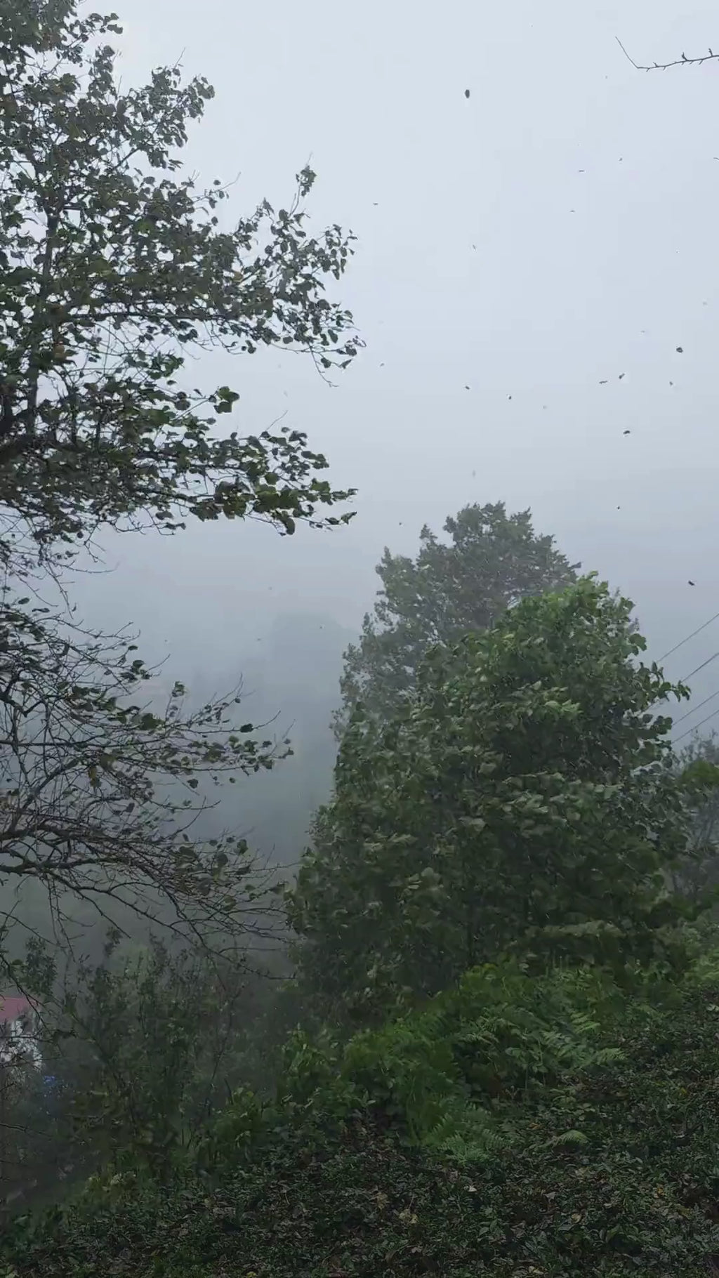 After Rain