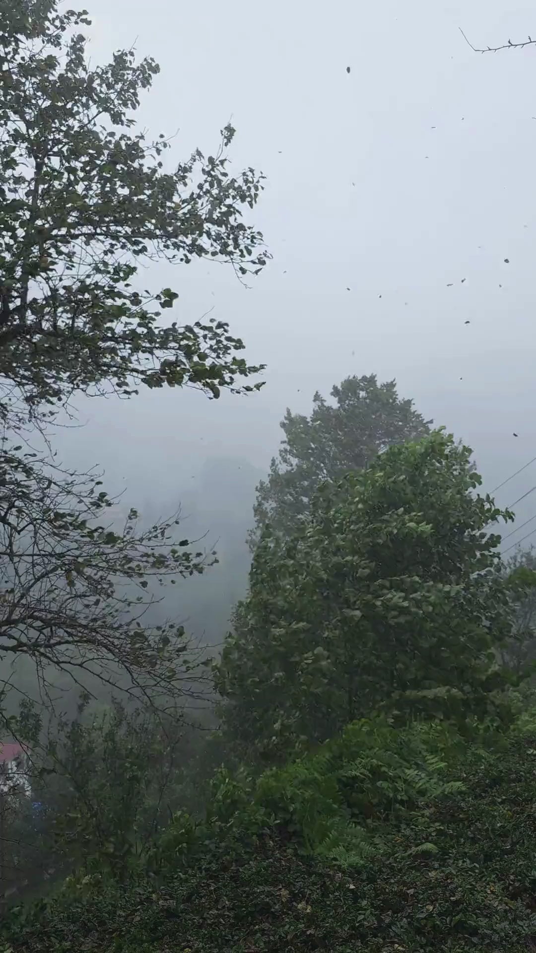 After Rain